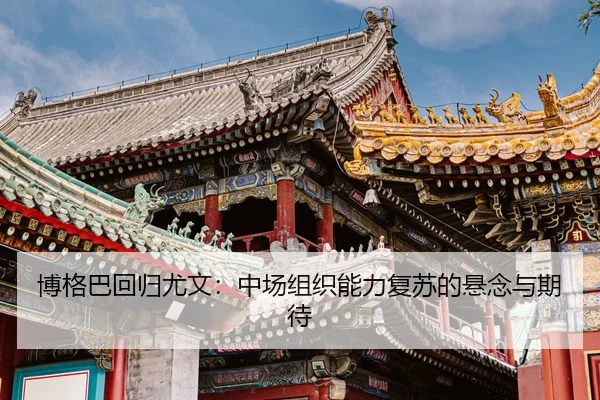 bo-ge-ba-hui-gui-you-wen-zhong-chang-zu-zhi-neng-li-fu-su-de-xuan-nian-yu-qi-dai-2-981.jpg