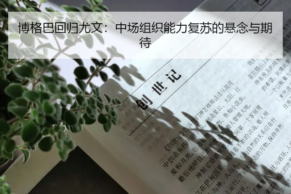 博格巴回归尤文：中场组织能力复苏的悬念与期待