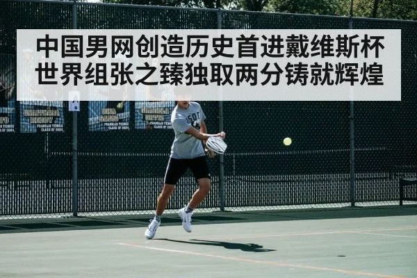 中国男网创造历史首进戴维斯杯世界组张之臻独取两分铸就辉煌