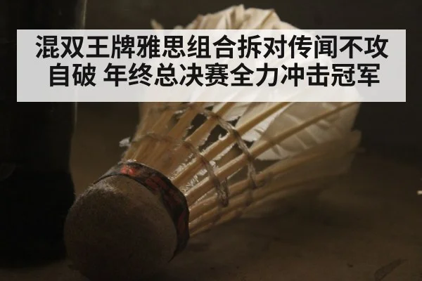 混双王牌雅思组合拆对传闻不攻自破 年终总决赛全力冲击冠军